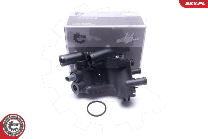 Thermostat, coolant